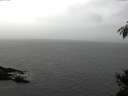 ./images/koeye/fitz-hugh/20150208/fitz-hugh20150208_121802.jpg