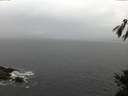 ./images/koeye/fitz-hugh/20150208/fitz-hugh20150208_122402.jpg