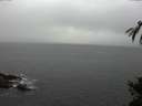 ./images/koeye/fitz-hugh/20150208/fitz-hugh20150208_123301.jpg