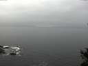 ./images/koeye/fitz-hugh/20150208/fitz-hugh20150208_133303.jpg