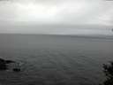 ./images/koeye/fitz-hugh/20150208/fitz-hugh20150208_173303.jpg