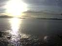 ./images/koeye/fitz-hugh/20150209/fitz-hugh20150209_163301.jpg