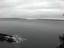 ./images/koeye/fitz-hugh/20150210/fitz-hugh20150210_080302.jpg
