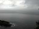./images/koeye/fitz-hugh/20150210/fitz-hugh20150210_100303.jpg