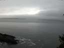 ./images/koeye/fitz-hugh/20150210/fitz-hugh20150210_103302.jpg