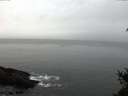 ./images/koeye/fitz-hugh/20150210/fitz-hugh20150210_110302.jpg