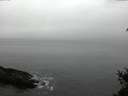 ./images/koeye/fitz-hugh/20150210/fitz-hugh20150210_113301.jpg