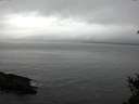 ./images/koeye/fitz-hugh/20150210/fitz-hugh20150210_120301.jpg