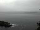 ./images/koeye/fitz-hugh/20150210/fitz-hugh20150210_121802.jpg