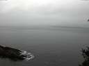./images/koeye/fitz-hugh/20150210/fitz-hugh20150210_122101.jpg