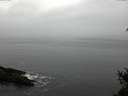 ./images/koeye/fitz-hugh/20150210/fitz-hugh20150210_122401.jpg