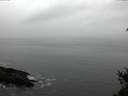 ./images/koeye/fitz-hugh/20150210/fitz-hugh20150210_122702.jpg