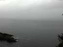 ./images/koeye/fitz-hugh/20150210/fitz-hugh20150210_123302.jpg