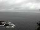 ./images/koeye/fitz-hugh/20150210/fitz-hugh20150210_140004.jpg