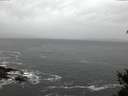 ./images/koeye/fitz-hugh/20150211/fitz-hugh20150211_080302.jpg
