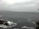 ./images/koeye/fitz-hugh/20150211/fitz-hugh20150211_090301.jpg