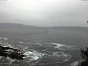 ./images/koeye/fitz-hugh/20150211/fitz-hugh20150211_100303.jpg