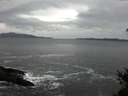 ./images/koeye/fitz-hugh/20150211/fitz-hugh20150211_121507.jpg