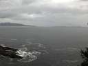 ./images/koeye/fitz-hugh/20150211/fitz-hugh20150211_140303.jpg