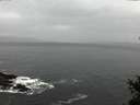 ./images/koeye/fitz-hugh/20150211/fitz-hugh20150211_153302.jpg