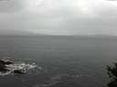 ./images/koeye/fitz-hugh/20150211/fitz-hugh20150211_163302.jpg