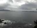 ./images/koeye/fitz-hugh/20150212/fitz-hugh20150212_083301.jpg