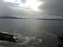 ./images/koeye/fitz-hugh/20150212/fitz-hugh20150212_120303.jpg