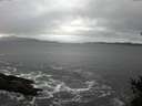 ./images/koeye/fitz-hugh/20150212/fitz-hugh20150212_140302.jpg