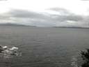 ./images/koeye/fitz-hugh/20150213/fitz-hugh20150213_073301.jpg