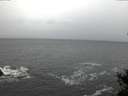 ./images/koeye/fitz-hugh/20150213/fitz-hugh20150213_080303.jpg