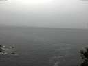 ./images/koeye/fitz-hugh/20150213/fitz-hugh20150213_083301.jpg