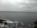 ./images/koeye/fitz-hugh/20150213/fitz-hugh20150213_103303.jpg