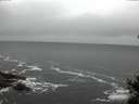 ./images/koeye/fitz-hugh/20150213/fitz-hugh20150213_110303.jpg