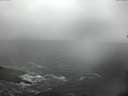./images/koeye/fitz-hugh/20150213/fitz-hugh20150213_113302.jpg
