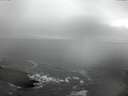 ./images/koeye/fitz-hugh/20150213/fitz-hugh20150213_120006.jpg