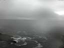 ./images/koeye/fitz-hugh/20150213/fitz-hugh20150213_120303.jpg