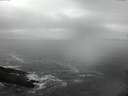 ./images/koeye/fitz-hugh/20150213/fitz-hugh20150213_121802.jpg