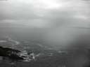 ./images/koeye/fitz-hugh/20150213/fitz-hugh20150213_122102.jpg
