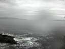 ./images/koeye/fitz-hugh/20150213/fitz-hugh20150213_130301.jpg