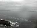 ./images/koeye/fitz-hugh/20150213/fitz-hugh20150213_133301.jpg