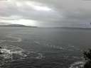 ./images/koeye/fitz-hugh/20150214/fitz-hugh20150214_090303.jpg
