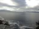 ./images/koeye/fitz-hugh/20150214/fitz-hugh20150214_113302.jpg