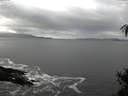 ./images/koeye/fitz-hugh/20150214/fitz-hugh20150214_121505.jpg