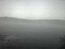 ./images/koeye/fitz-hugh/20150215/fitz-hugh20150215_070301.jpg