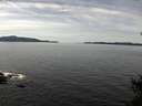 ./images/koeye/fitz-hugh/20150216/fitz-hugh20150216_120005.jpg