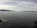 ./images/koeye/fitz-hugh/20150216/fitz-hugh20150216_120302.jpg
