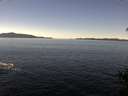 ./images/koeye/fitz-hugh/20150217/fitz-hugh20150217_120006.jpg