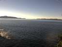 ./images/koeye/fitz-hugh/20150217/fitz-hugh20150217_130302.jpg