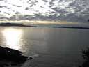 ./images/koeye/fitz-hugh/20150217/fitz-hugh20150217_160003.jpg