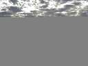 ./images/koeye/fitz-hugh/20150217/fitz-hugh20150217_163301.jpg